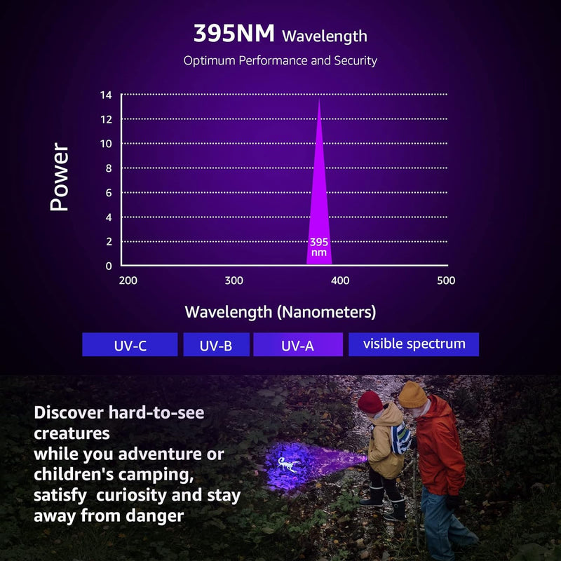 Black Light Flashlight