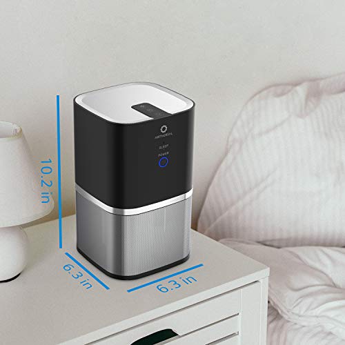 Mini Air Purifier